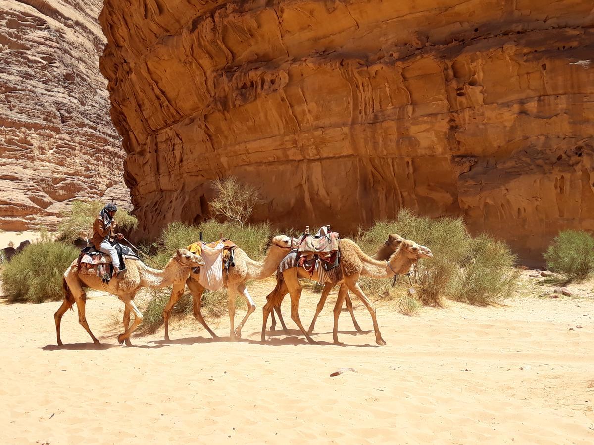 Martian desert Camp Wadi Rum Exterior foto